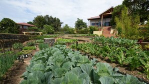 Tuin