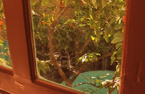 Triple Room | View from room