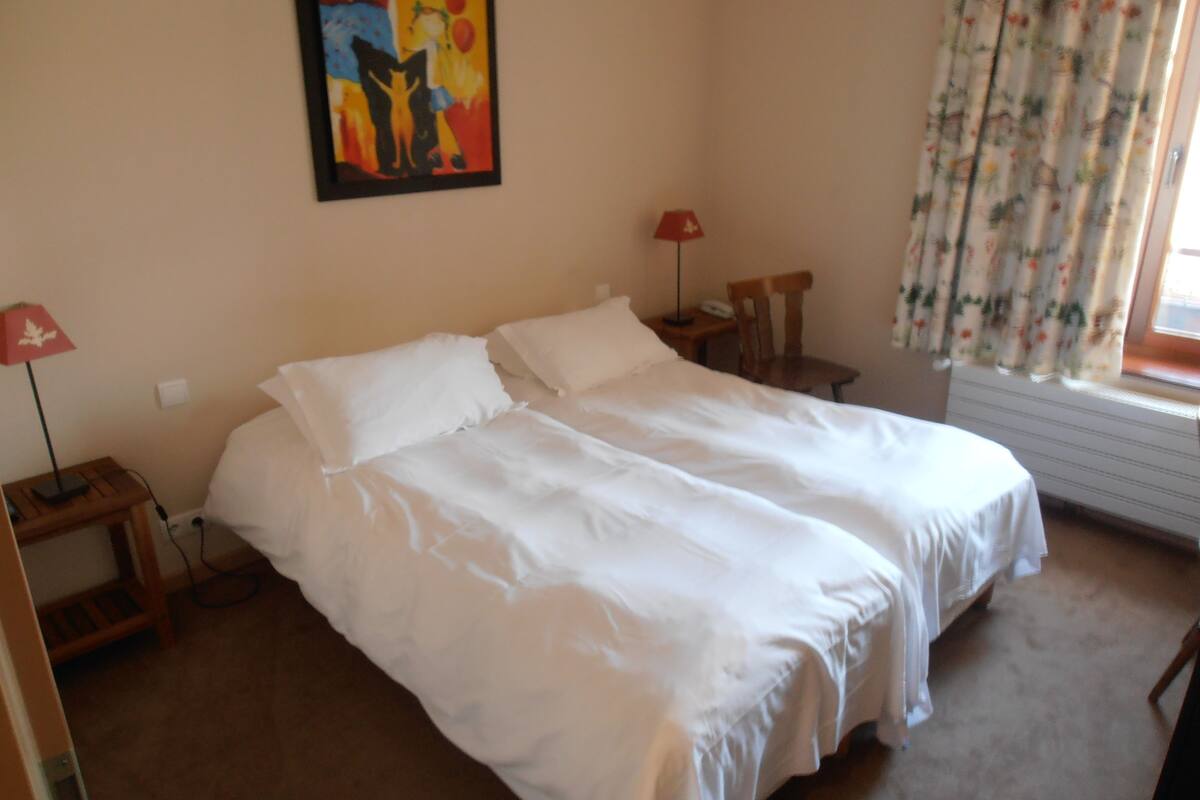 Habitación superior con 2 camas individuales, 2 camas individuales | Ropa de cama de alta calidad, minibar, insonorización y cunas gratuitas