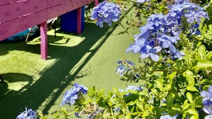 A row of colorful wooden structures with a green artificial turf ground. - Hôtel Acajou (Argelès-sur-Mer)
