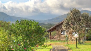 Une maison en pierre avec un toit de chaume, entourée d’une végétation luxuriante et de plantes en fleurs.