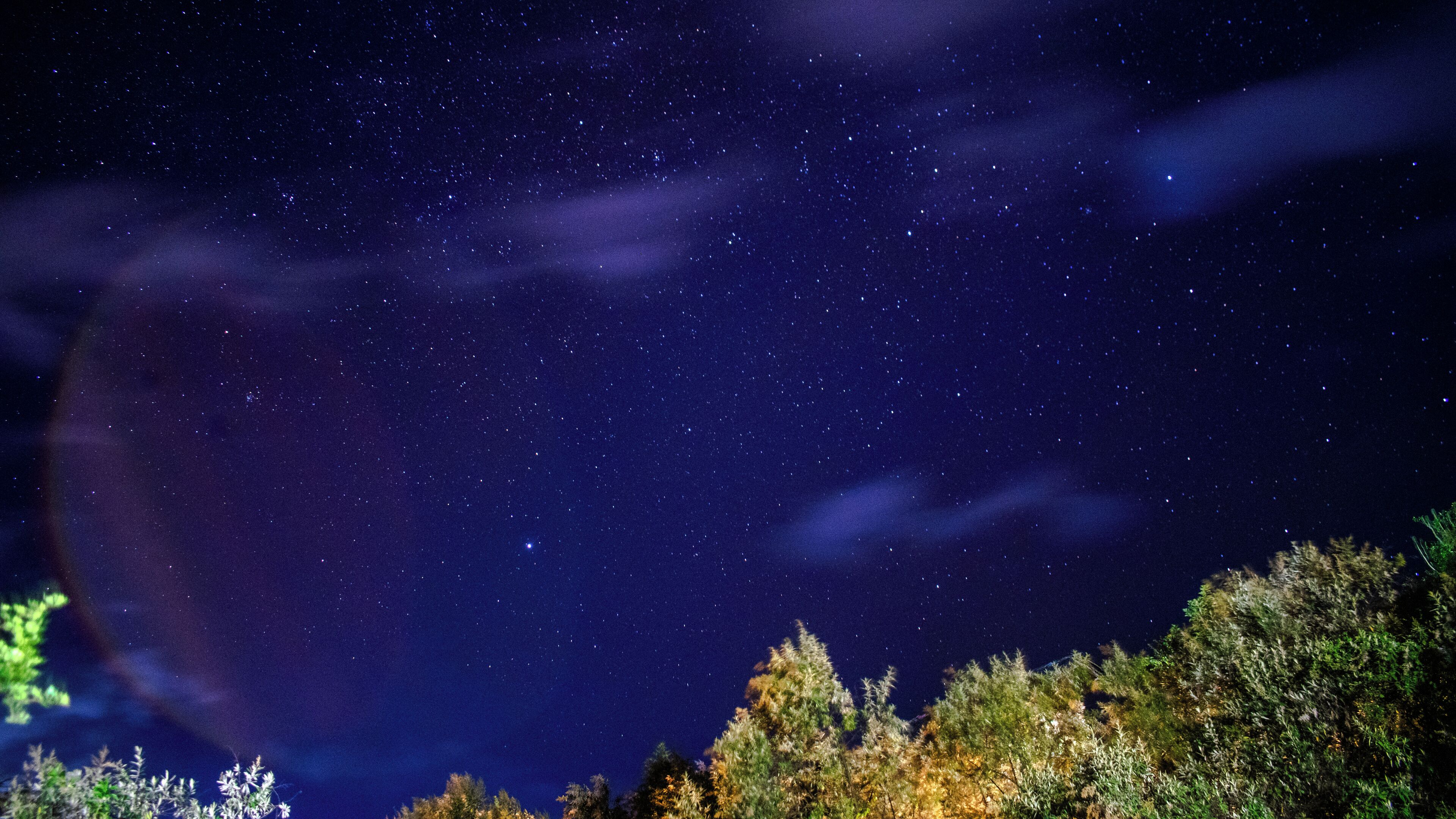 Cielo nocturno lleno de estrellas, una vista despejada de la Vía Láctea y un paisaje boscoso en la parte inferior.