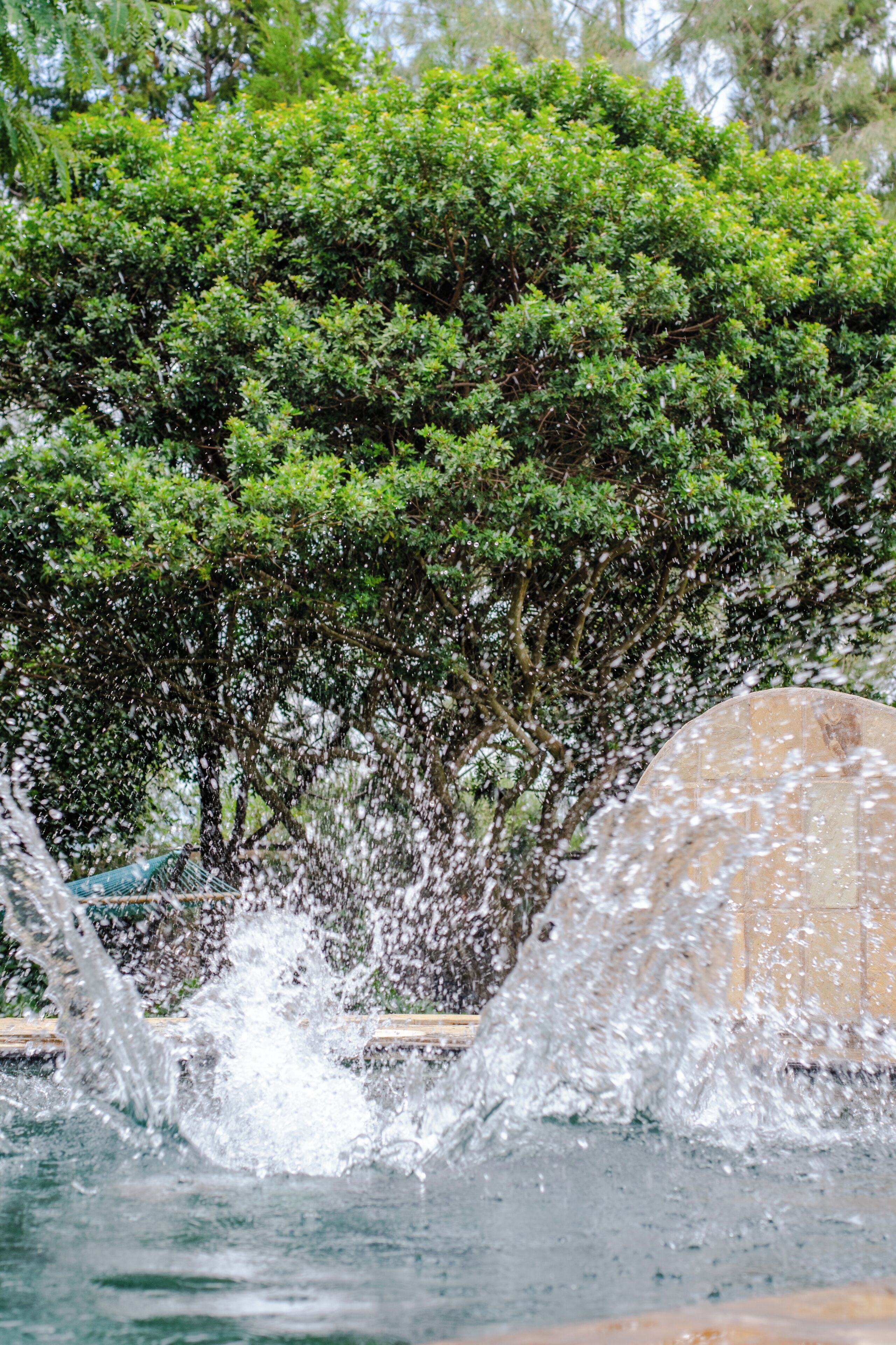 A water feature with a stone structure and lush greenery in the background.