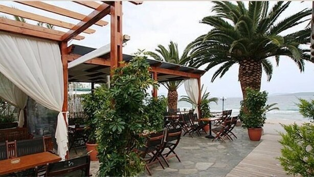 Un patio al aire libre con mesas y sillas de madera, rodeado de plantas en macetas y palmeras, con vistas al mar.