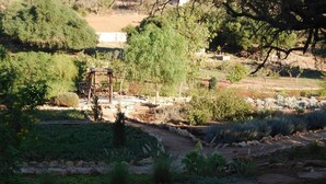 Property grounds - Dar Essaada (Essaouira)