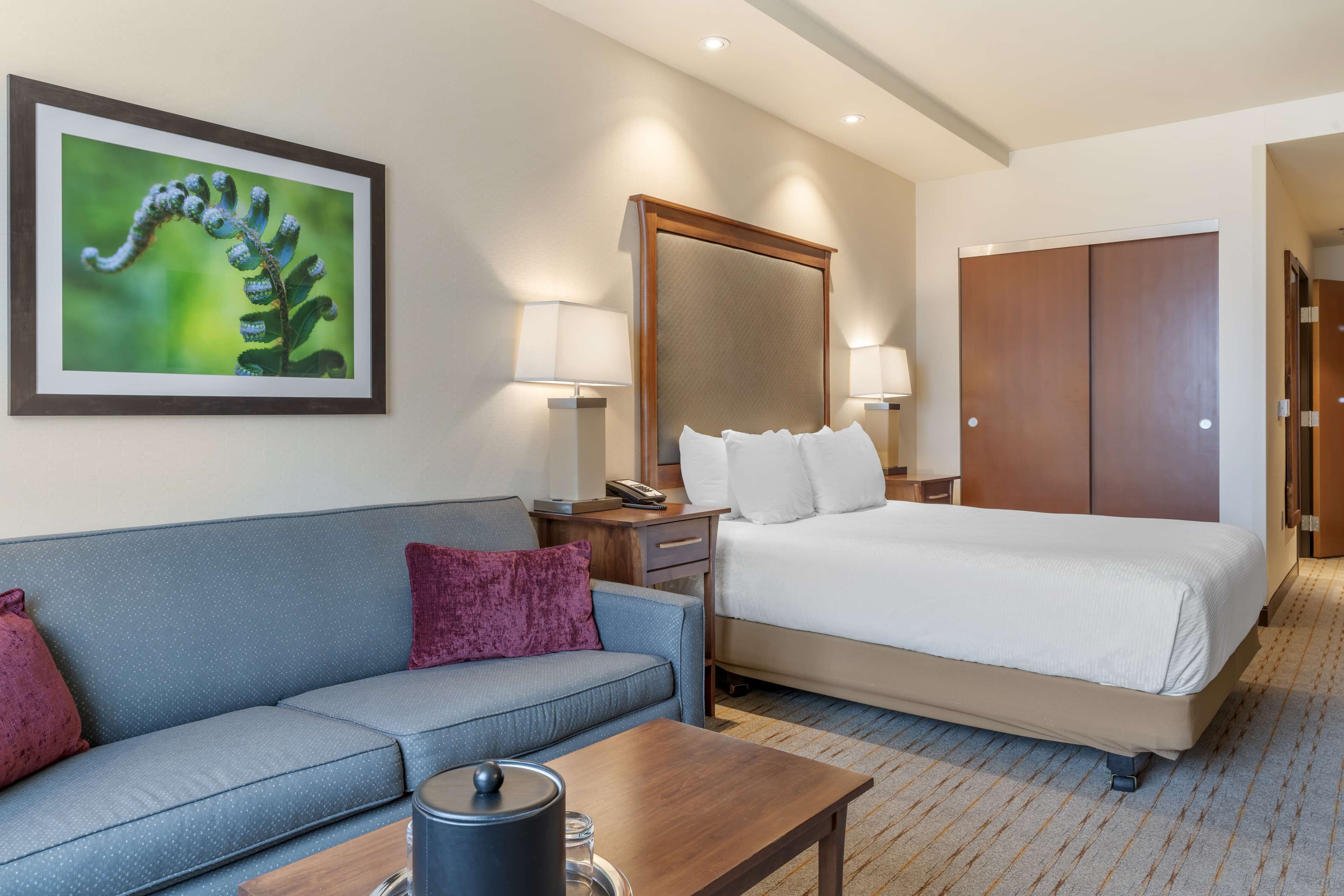 Standard Room, 1 King Bed, Accessible, Bathtub | Premium bedding, in-room safe, desk, laptop workspace