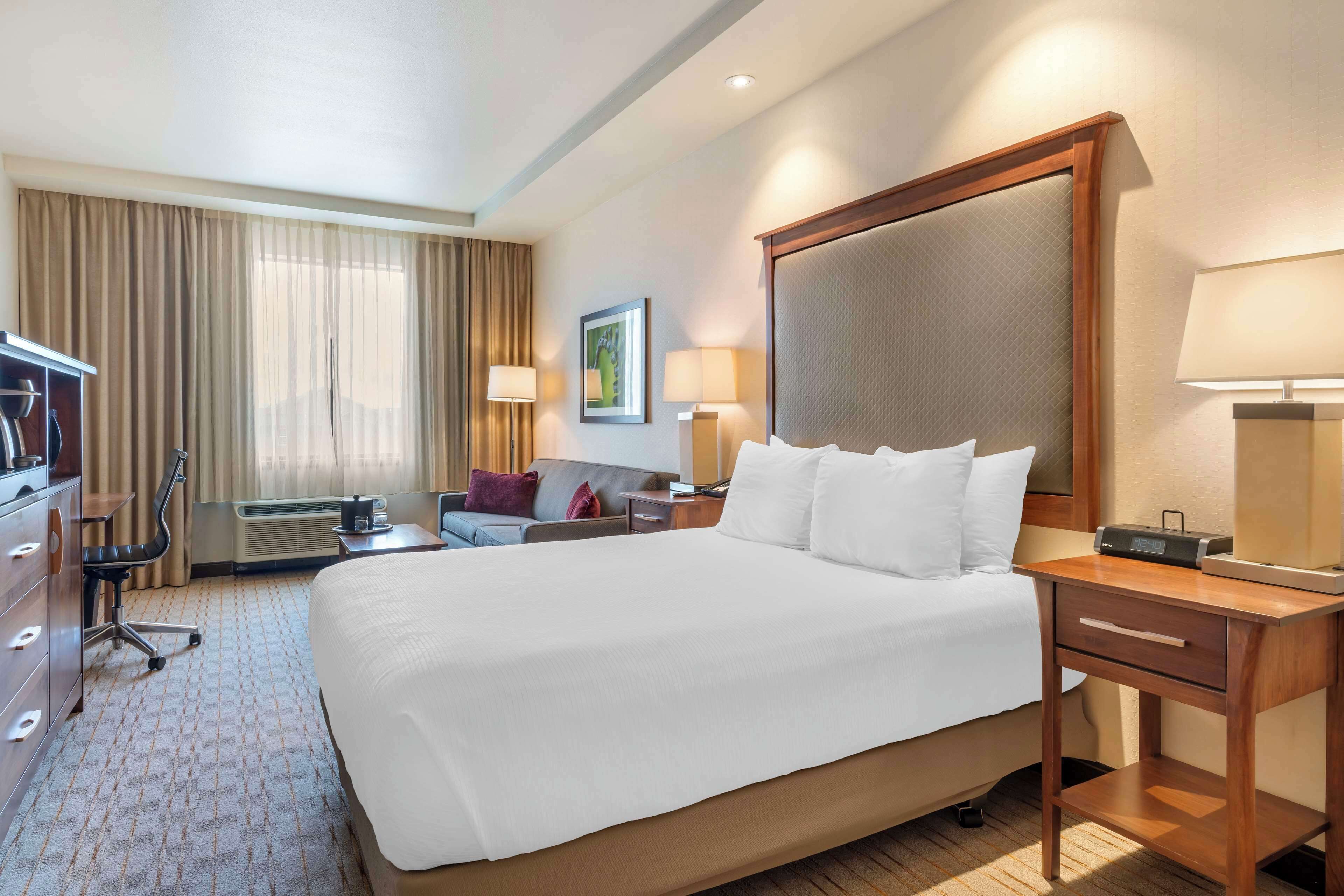 A hotel room with a large bed, a desk, a chair, a sofa, a TV, and a window with curtains.