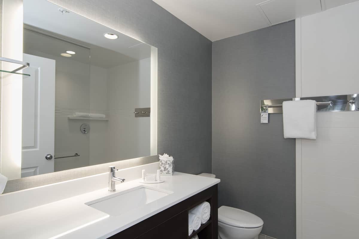 combined shower/bathtub, free toiletries, hair dryer, towels