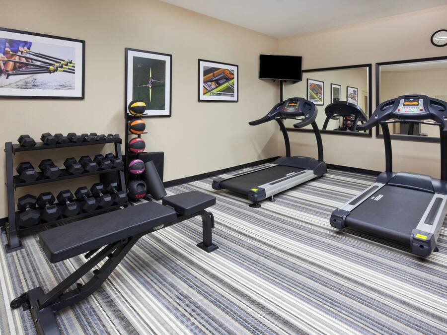 A gym with treadmills, a bench, and a rack of dumbbells.
