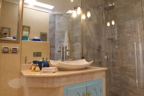 Habitación clásica doble | Baño | Ducha, artículos de higiene personal de diseño y secador de pelo