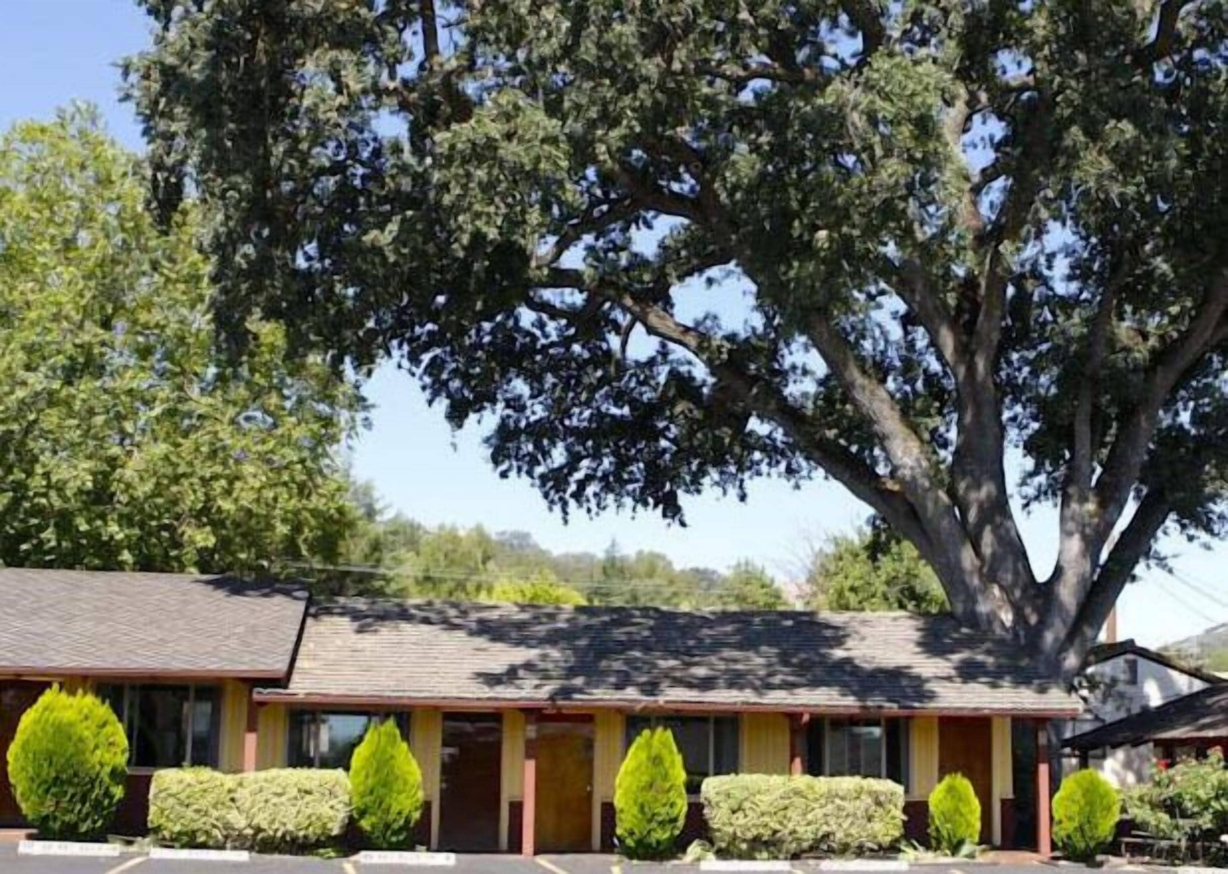 A motel with a large tree in front, a parking lot, and a clear sky.