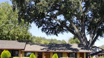 A motel with a large tree in front, a parking lot, and a clear sky.