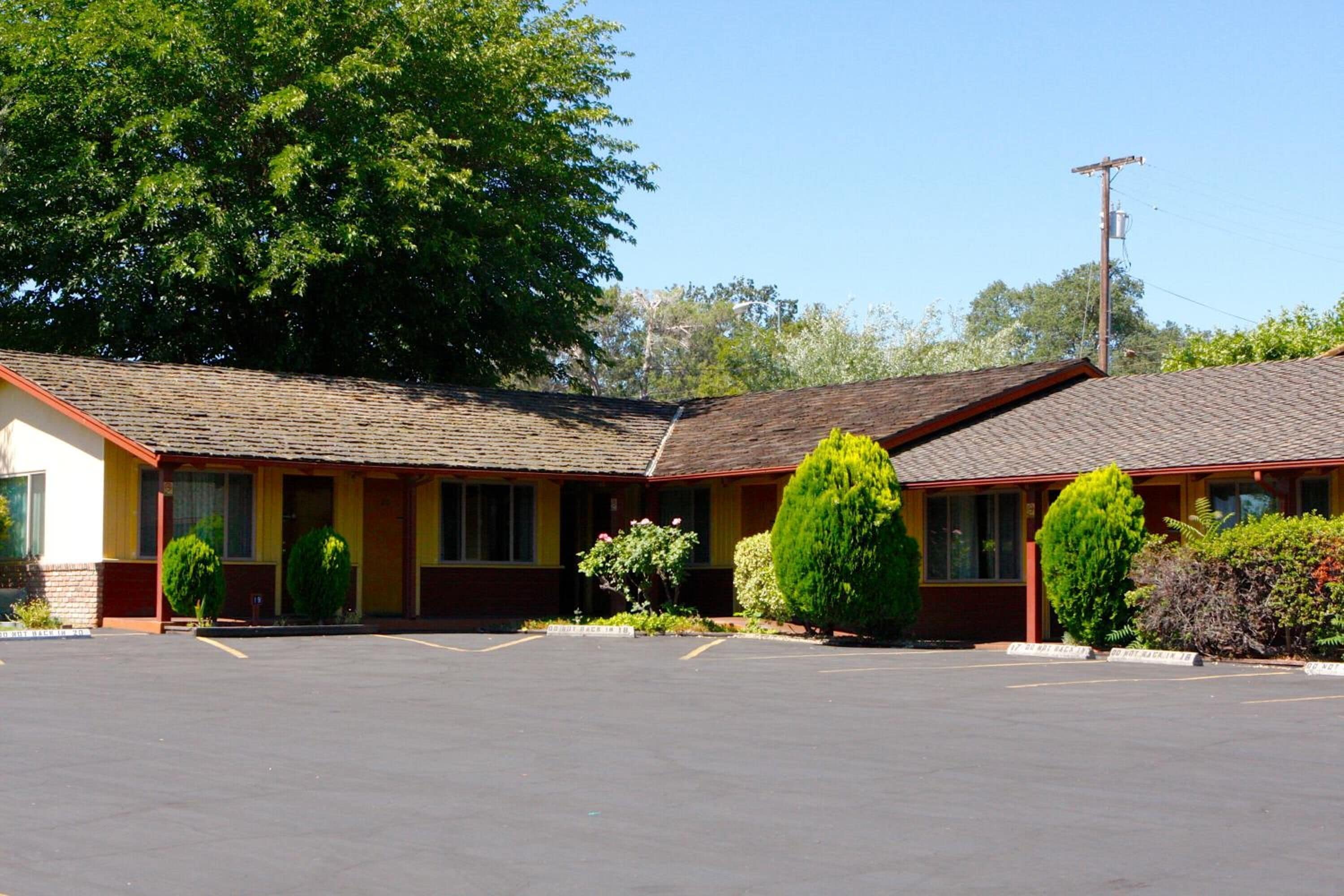 Un motel avec un parking et un grand arbre devant.