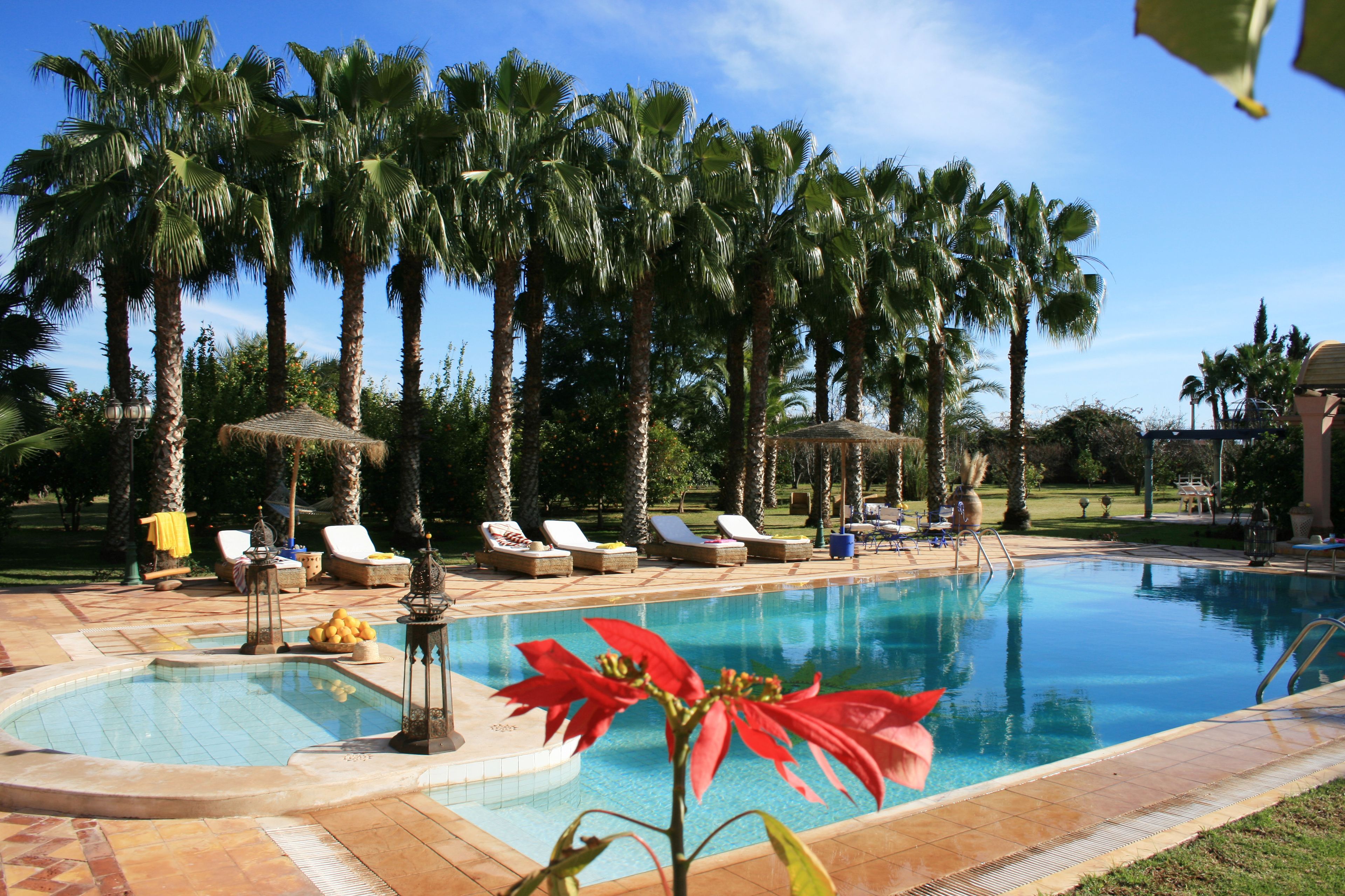 Outdoor pool, open 9 AM to 7:30 PM, free pool cabanas, pool umbrellas