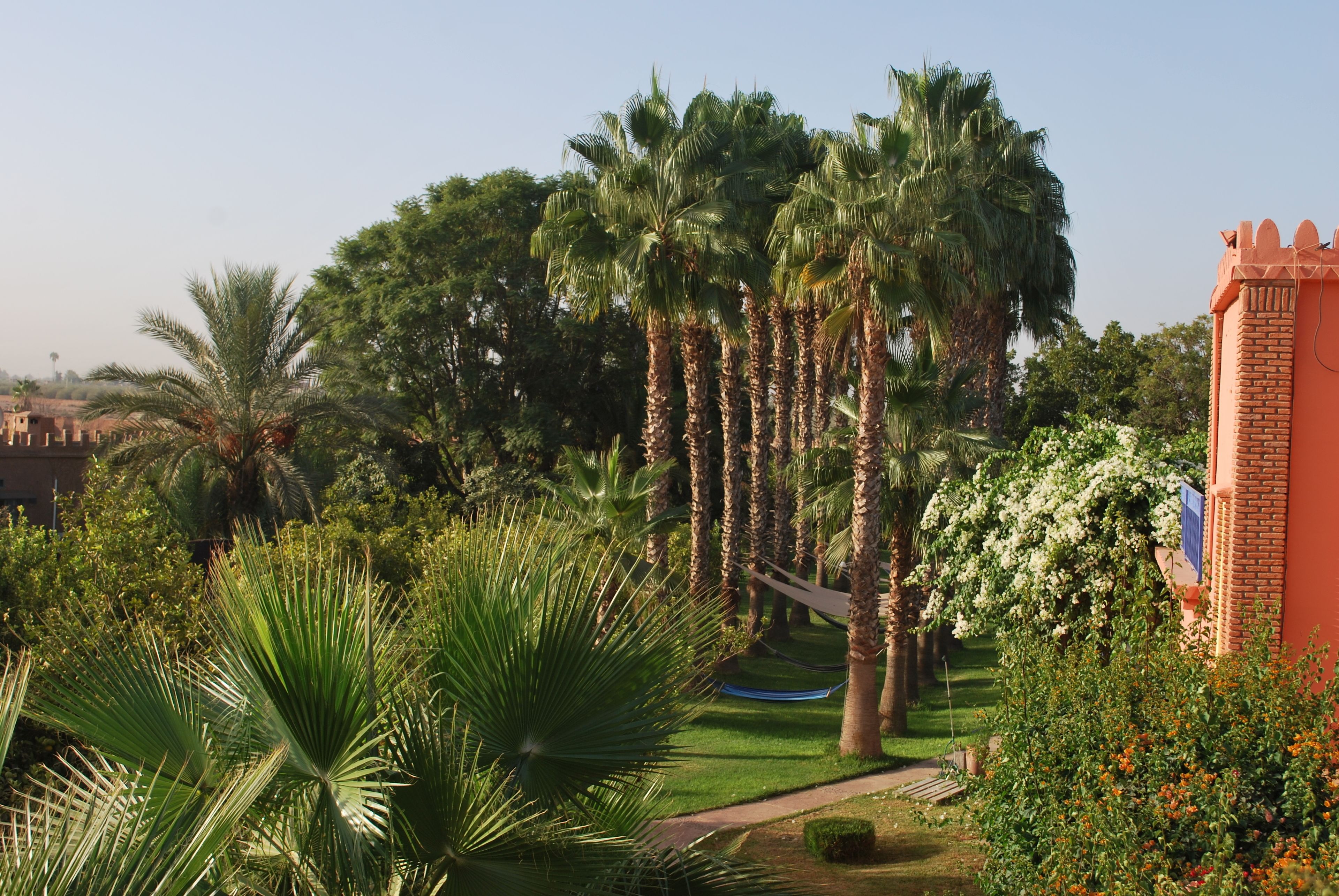 Terrace Suite | 部屋からの景観