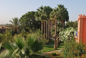 Vista desde la habitación