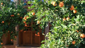 Garden Suite | Vườn