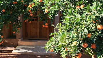 Garden Suite | Garden