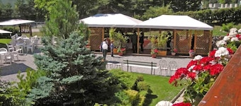 Hotel Bucaneve