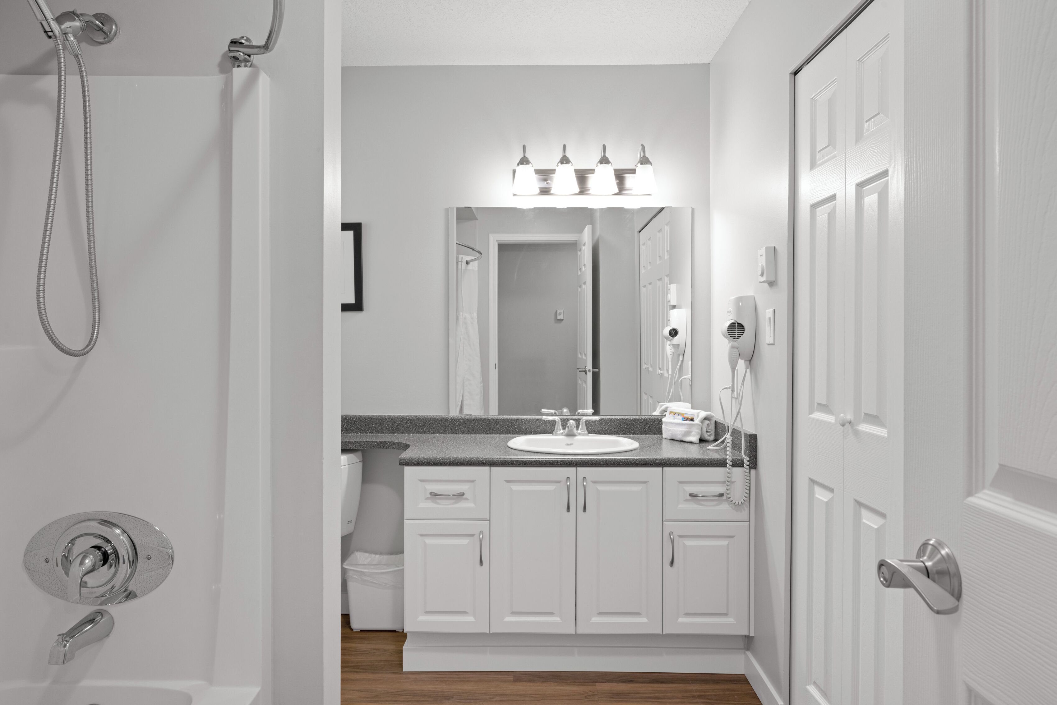 A bathroom with a white sink, vanity, and mirror, a shower with a handheld showerhead, and a toilet.
