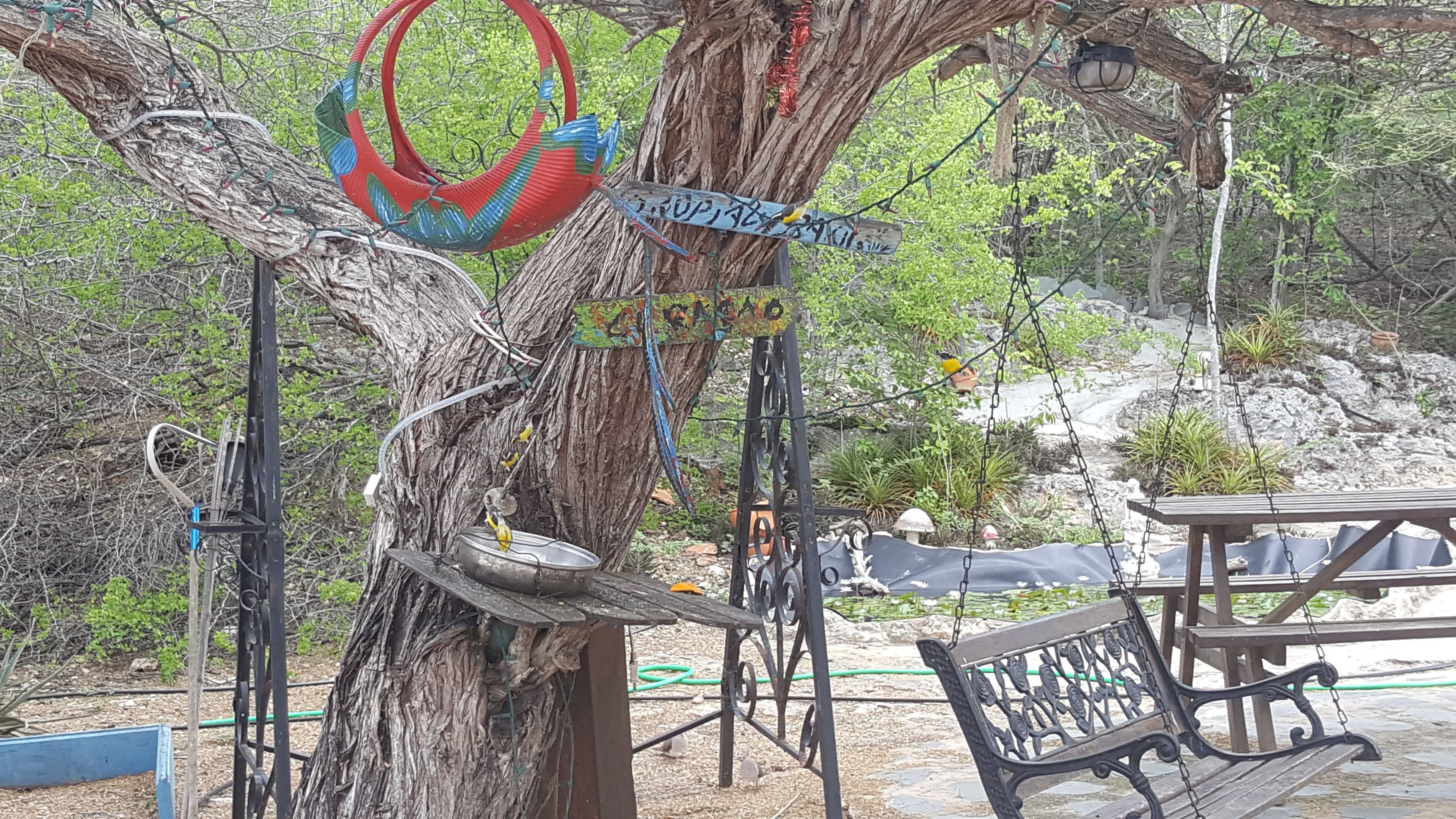 Grill-/Picknickplatz