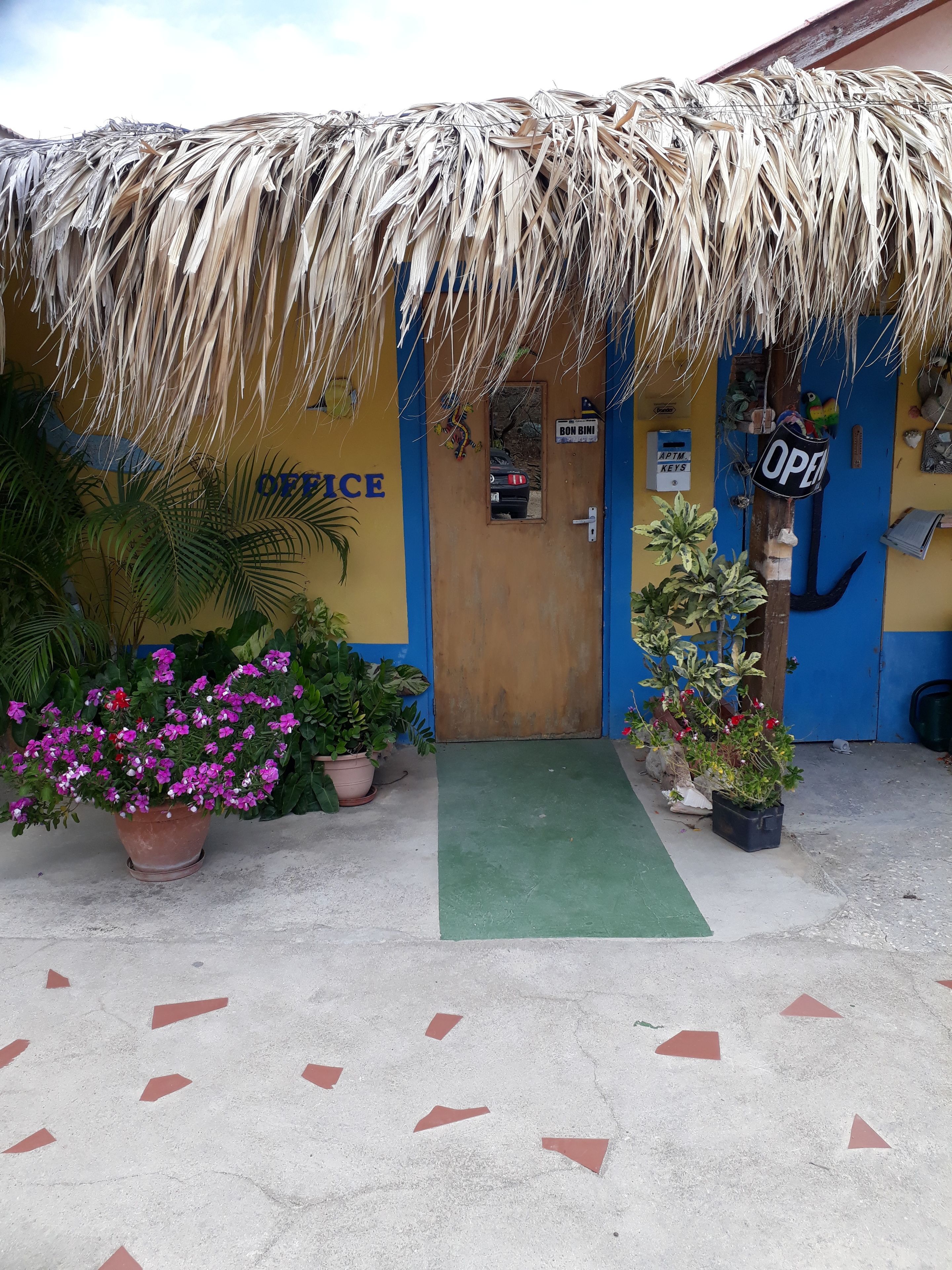 A building with a thatched roof, a blue door, and a sign reading "OPEN".
