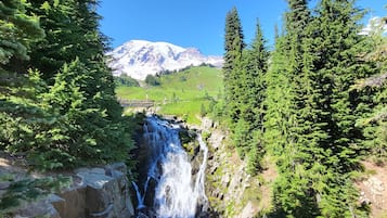 A waterfall surrounded by dense forest and a mountain in the background.