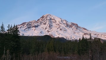 A snow-covered mountain with a forested foreground.
