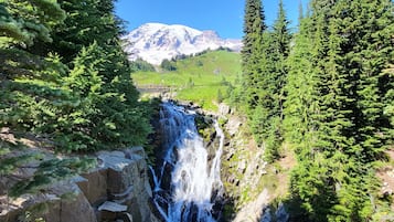 Una cascada rodeada de un bosque verde exuberante y una montaña al fondo.