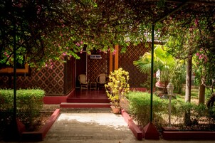 高级三人房 | 迷你吧、客房内保险箱、办公桌、遮光窗帘