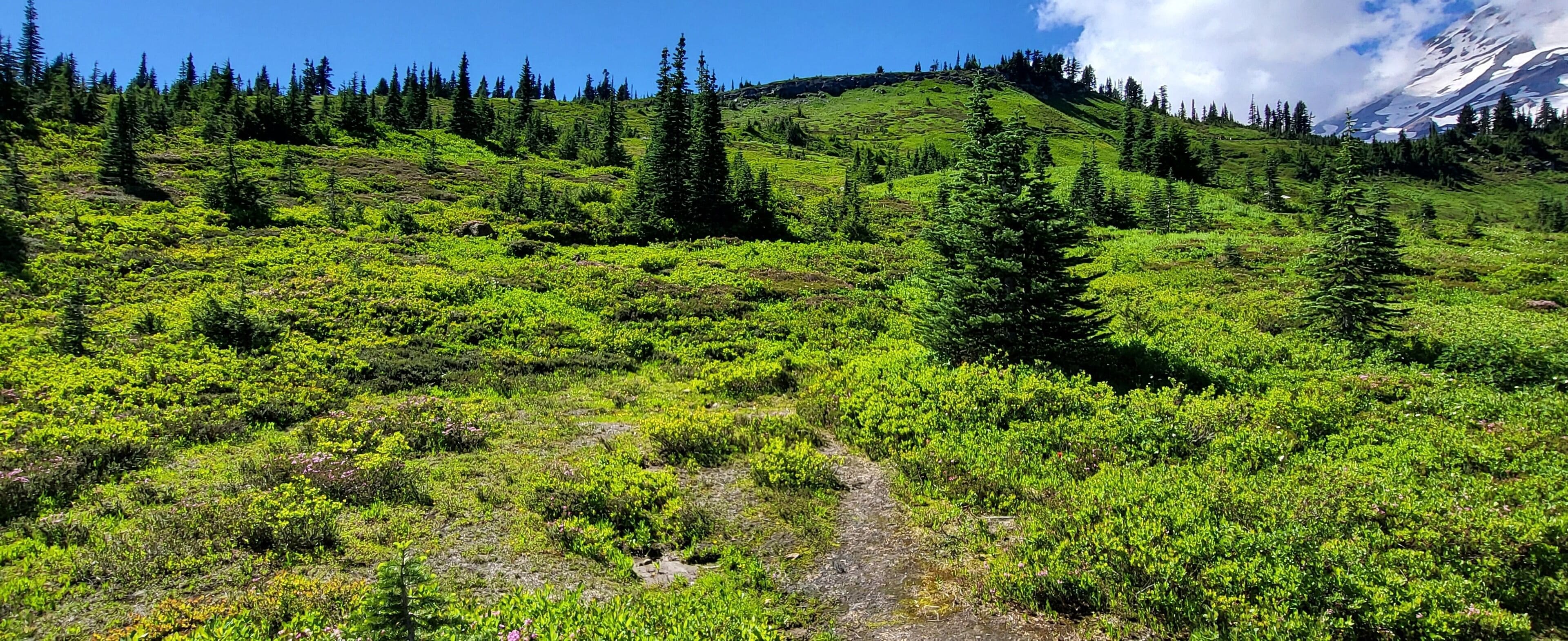A mountainous landscape with dense green vegetation and a clear sky.