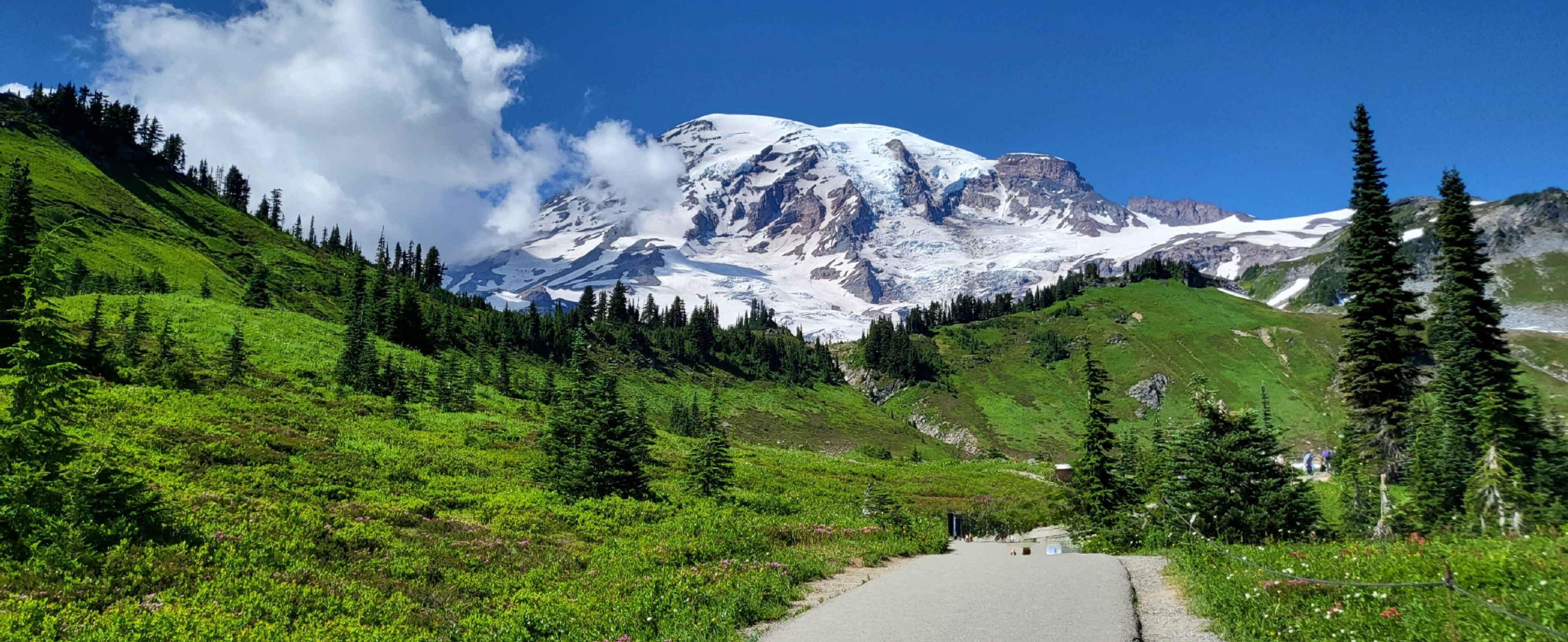 A mountain road leading to a snow-capped peak with lush greenery and pine trees.