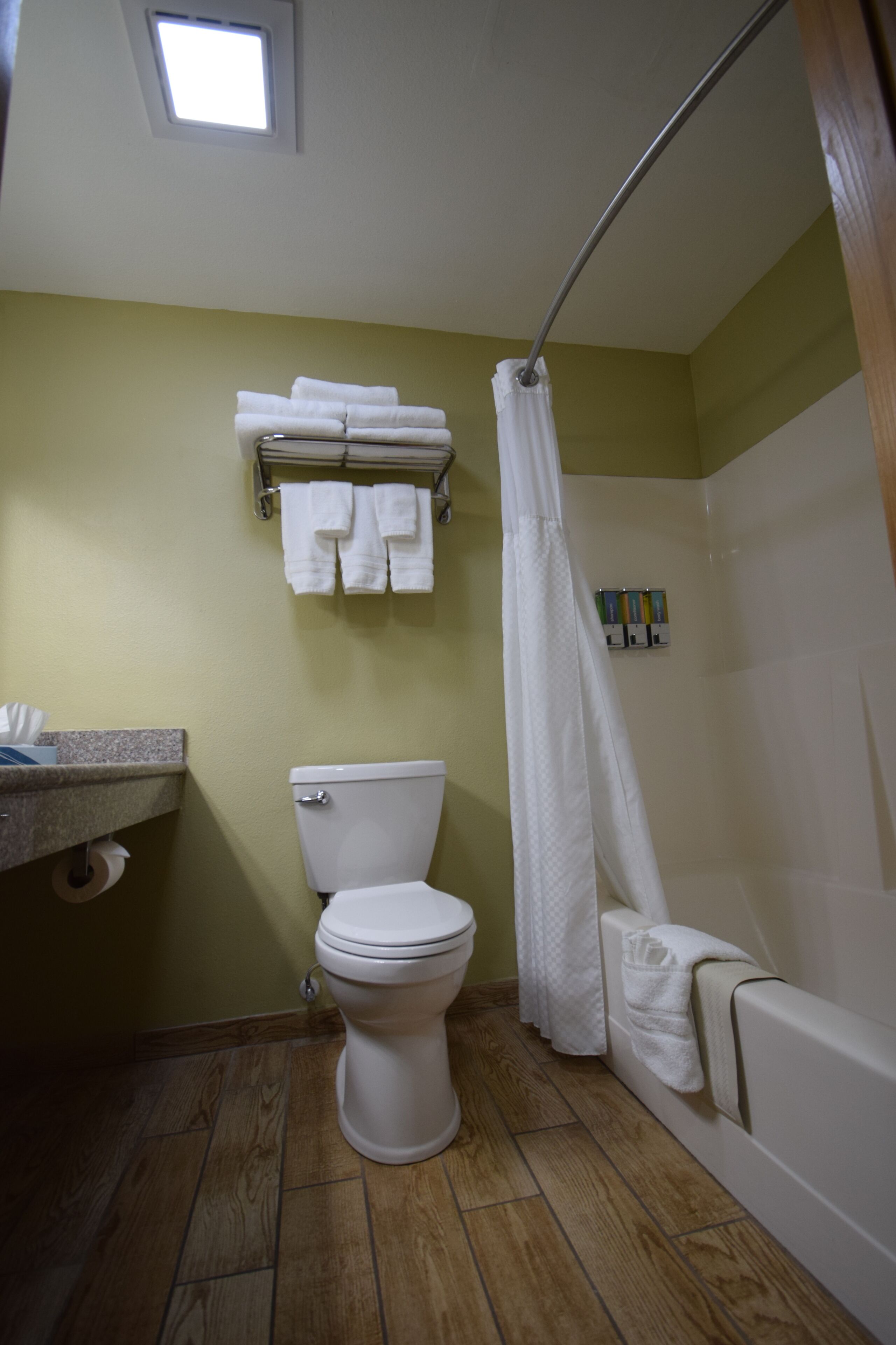 A bathroom with a toilet, a shower curtain, and a bathtub.
