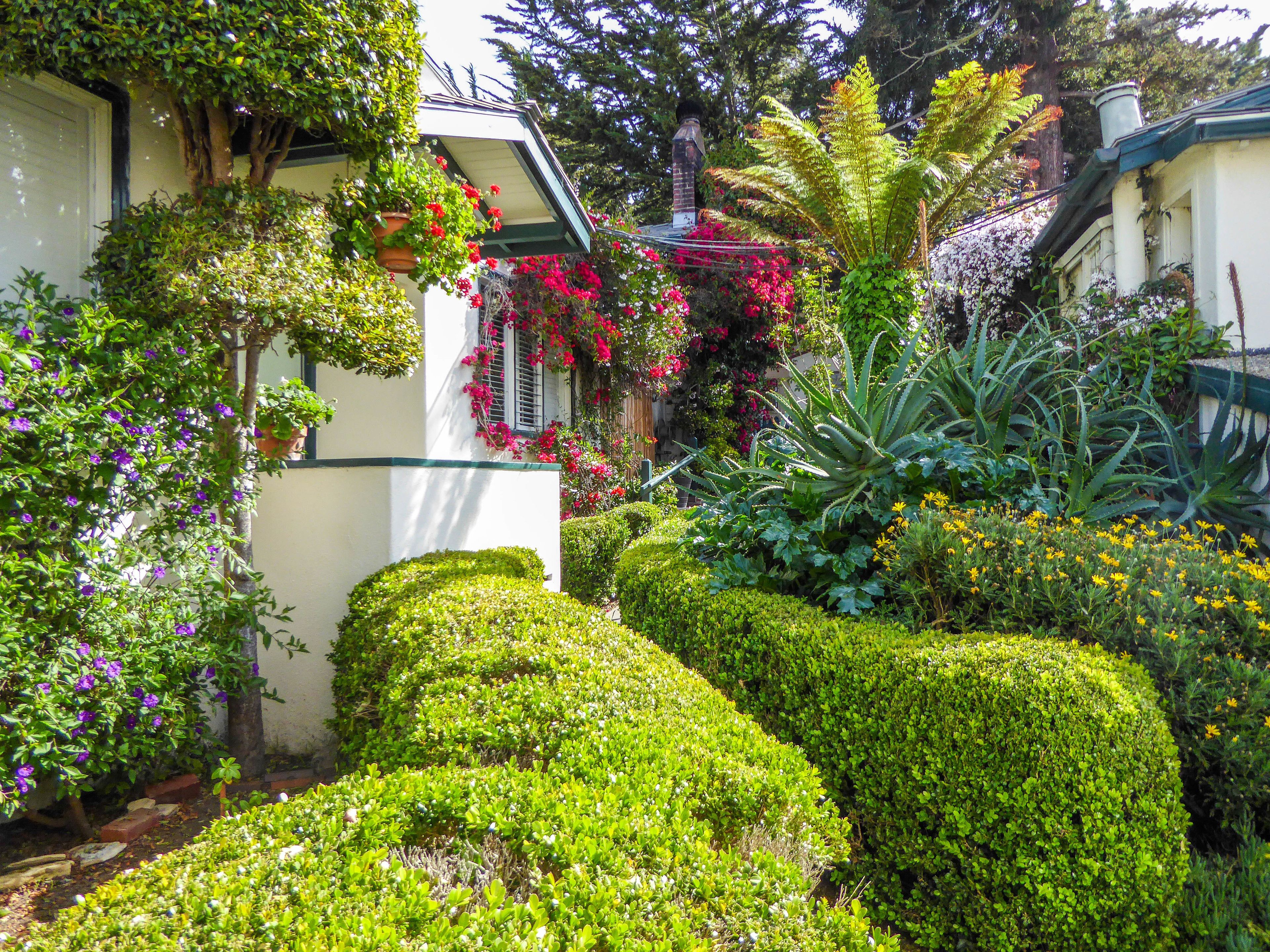 A well-maintained garden with various plants and shrubs, a neatly trimmed hedge, and a building with a chimney.