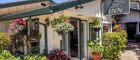 Individually decorated, individually furnished, iron/ironing board