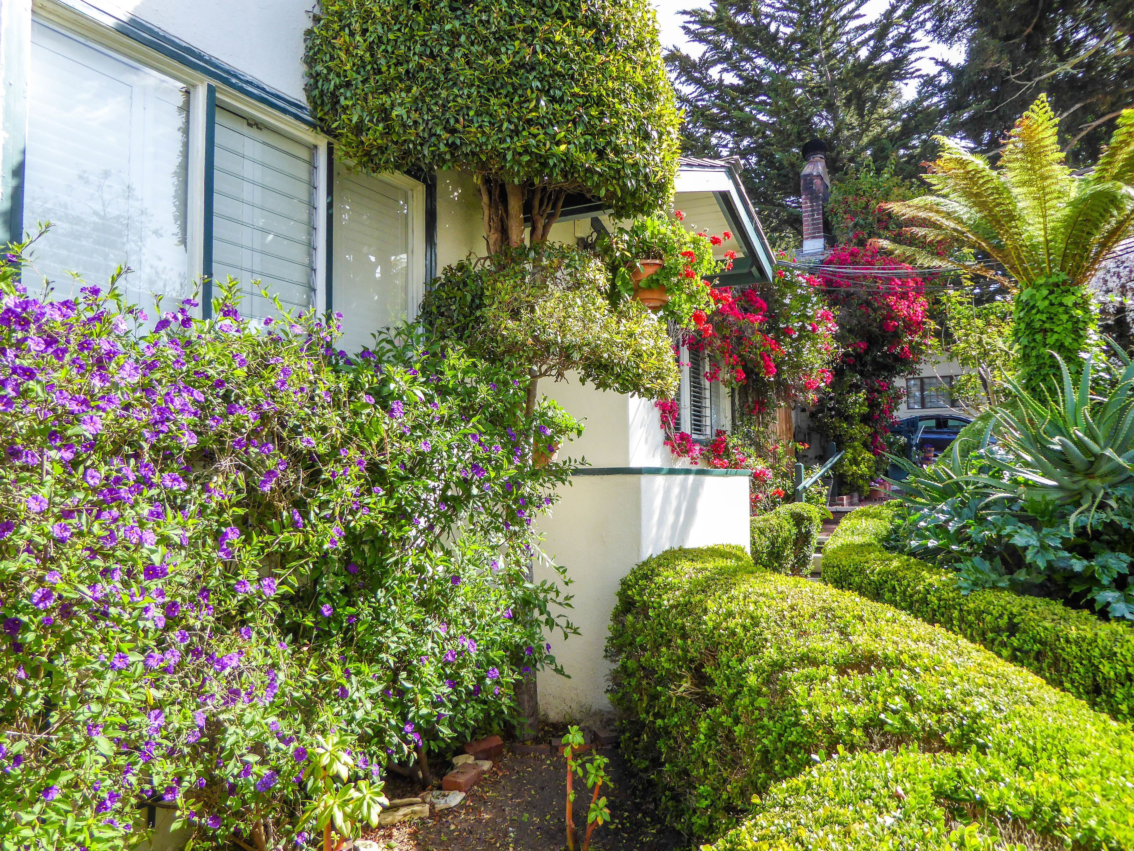 Ein gepflegter Garten mit verschiedenen Pflanzen und Blumen, ein ordentlich geschnittener Hecke und ein klarer Weg zu einem Gebäude mit Garage.