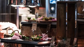 Une présentation de plats variés, comprenant des viandes tranchées et des accompagnements, placée sous un luminaire suspendu.