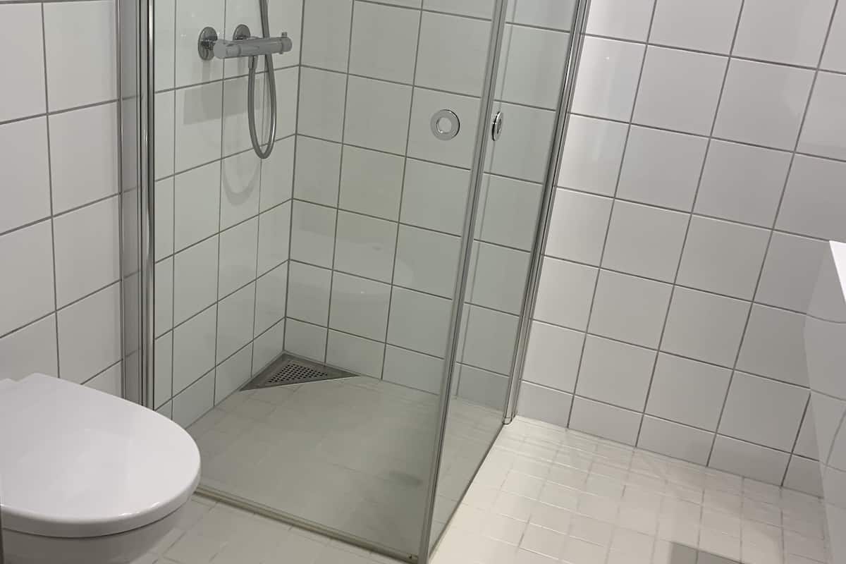 standard room, 1 double bed | bathroom shower