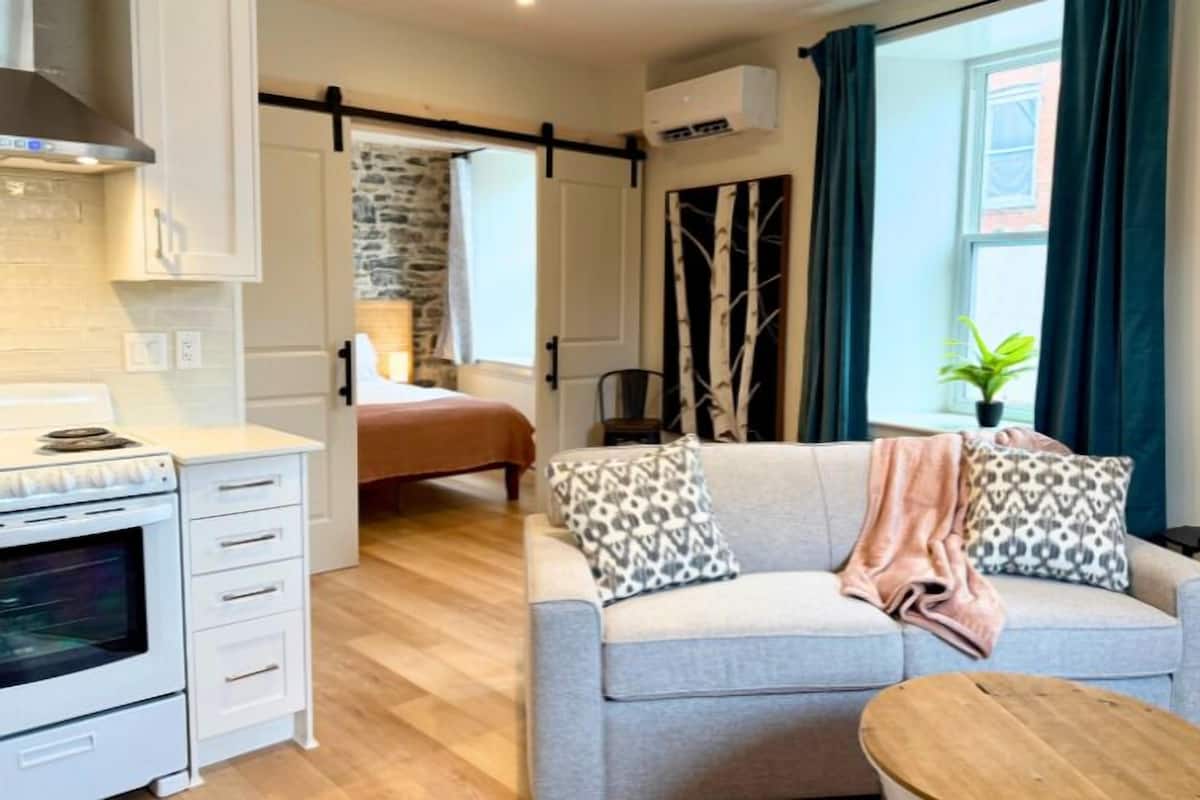 Deluxe Apartment, Non Smoking, Kitchen - Located at The StoneHaven Suite 102 @ 5 Clothier W | Premium bedding, pillowtop beds, iron/ironing board, WiFi (free)