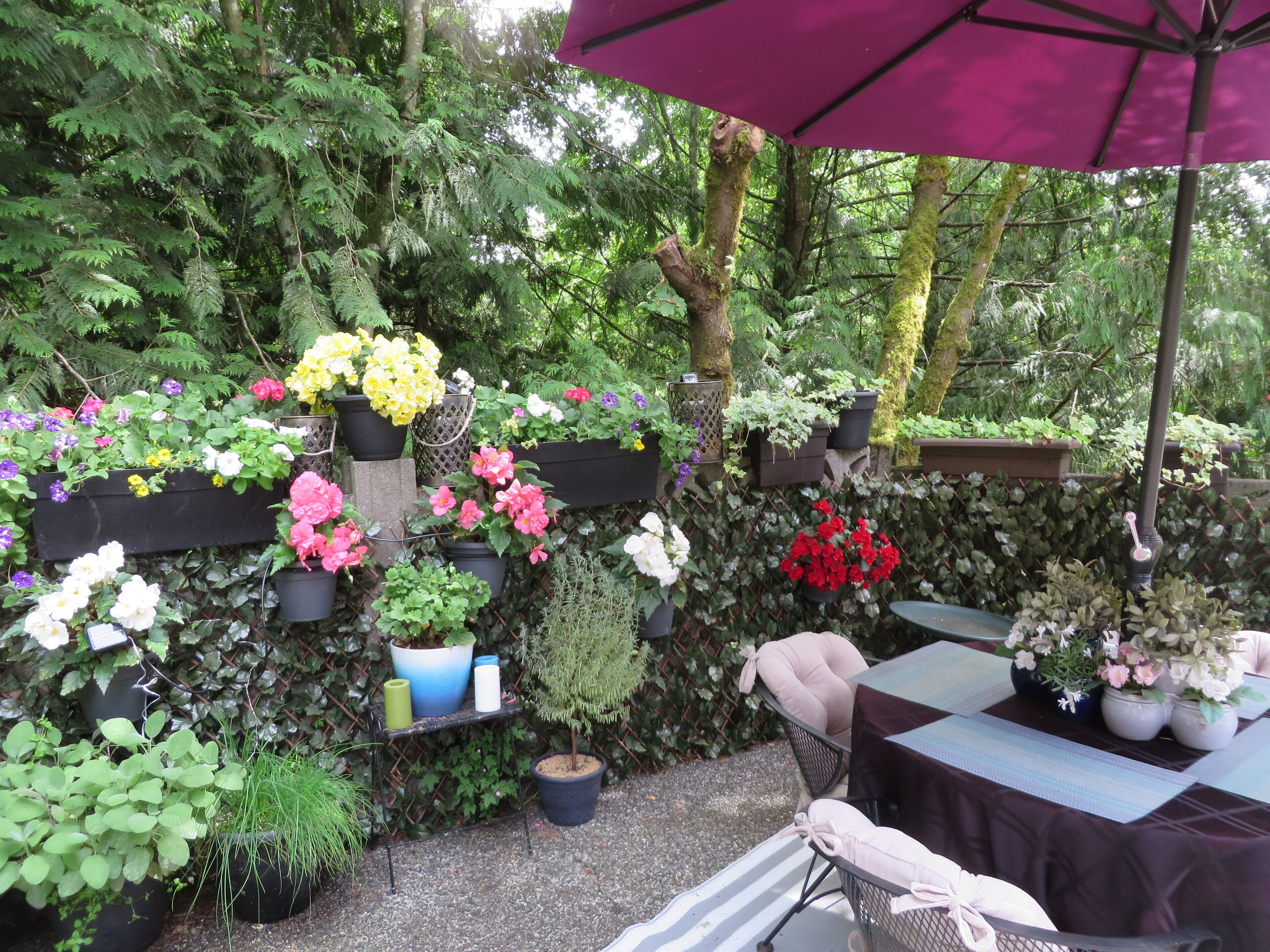 A garden area with potted plants and flowers, a table with chairs, and a purple umbrella.