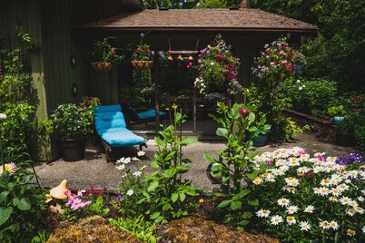 Misty Meadows B&B