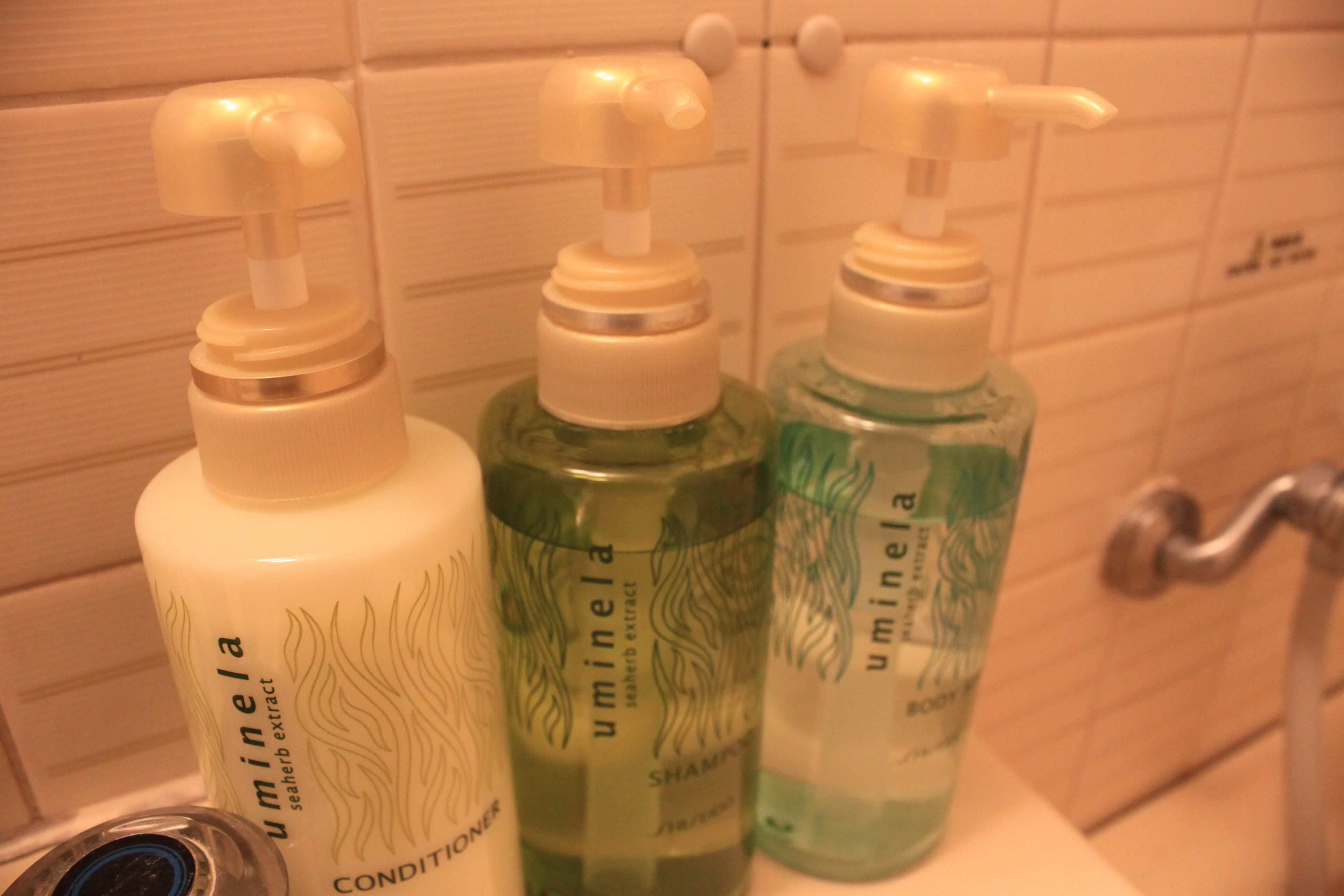 combined shower/bathtub, free toiletries, hair dryer, slippers