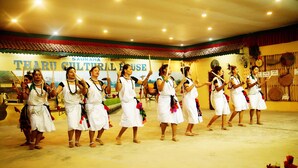 A group of dancers in traditional attire performing on a stage with a cultural house backdrop. - Hotel Park Inn (Sauraha)