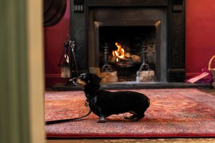 A black dog on a red carpet in a room with a fireplace.