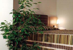 Standard Double Room, 1 Double Bed