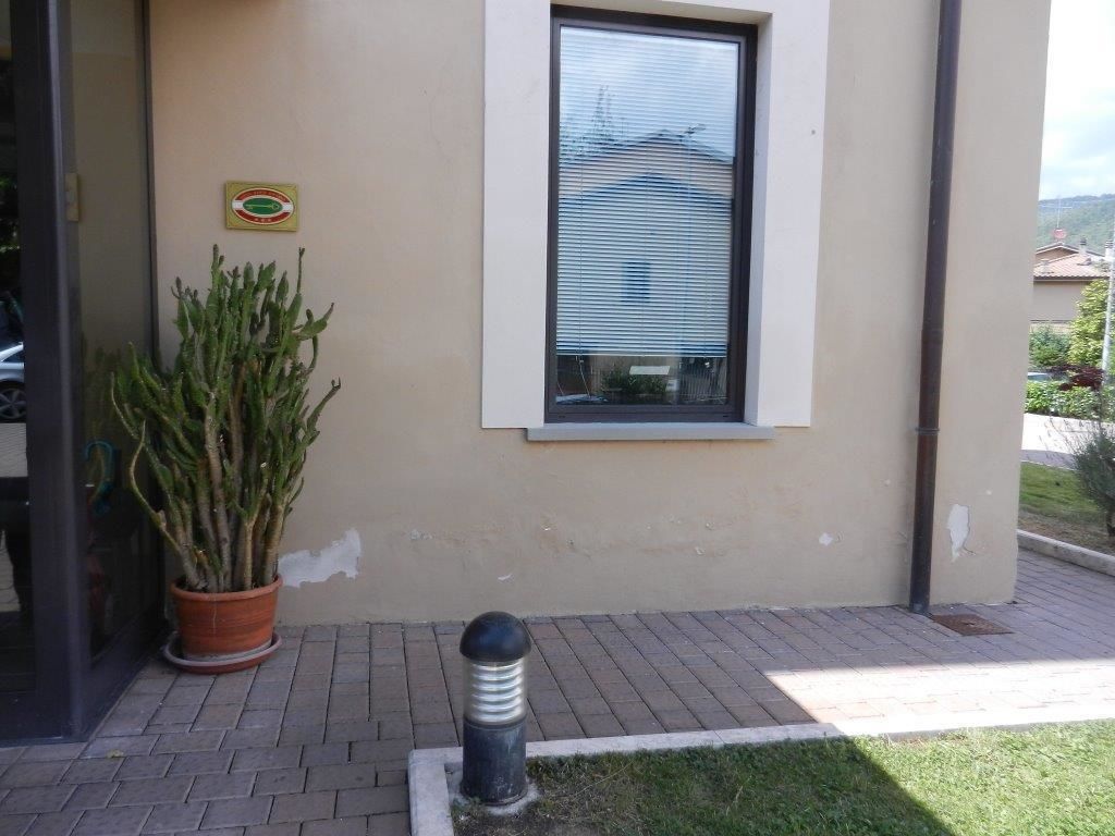 A building entrance with a potted plant, a window with blinds, and a bollard.