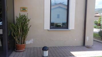 A building entrance with a potted plant, a window with blinds, and a bollard.
