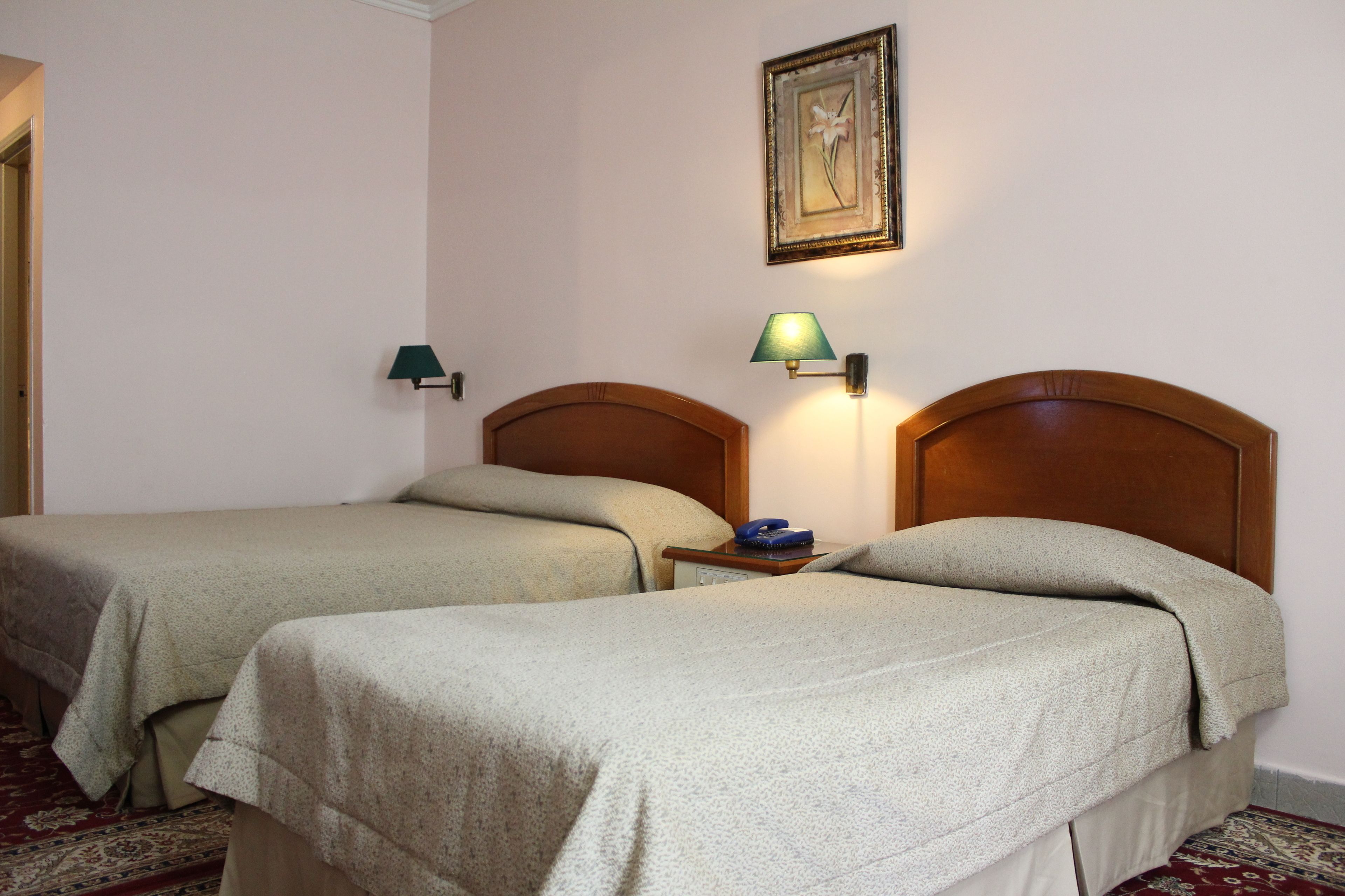 A hotel room with two single beds, a nightstand with a lamp, a framed picture on the wall, and a patterned carpet.