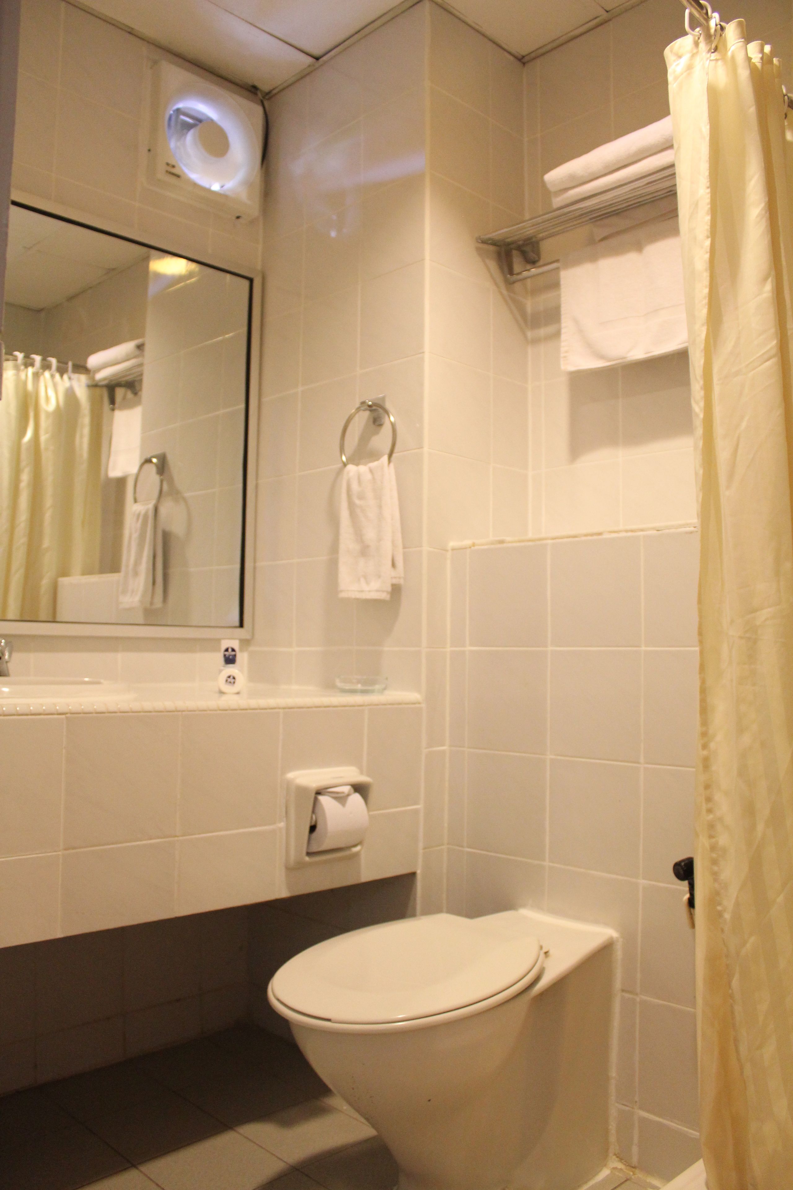 A bathroom with a toilet, a mirror, a towel rack, and a shower curtain.