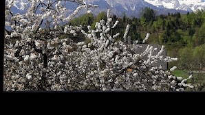 Mountain view - Penzion Repnik (Kamnik)